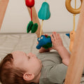 Wooden Baby Gym | Ninja Toddler